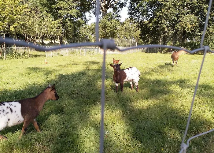 Maison Renovee A La Campagne Avec Terrasse, Connexion Wifi Incluse - Fr-1-426-288 別荘